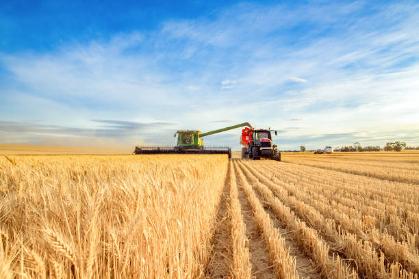 Agriculture
