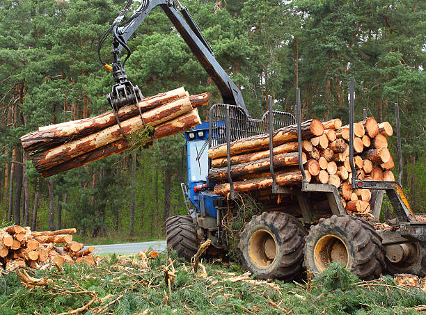 Forestry
